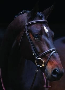 Amigo Bridle - Brown