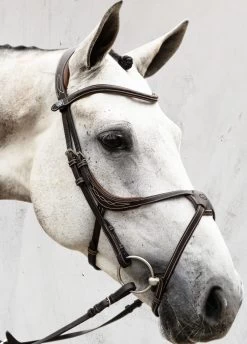 PS Of Sweden Athens Bridle - Brown 11 PS Of Sweden Athens Bridle - Brown -Equestrian Riding Equipment Store athensbrn3rdy