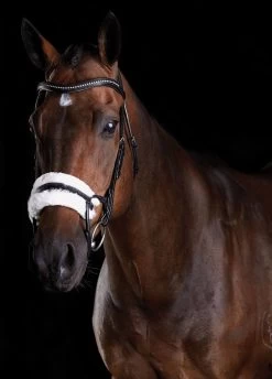 Collegiate ComFiTec Sheepskin Bridle - Black