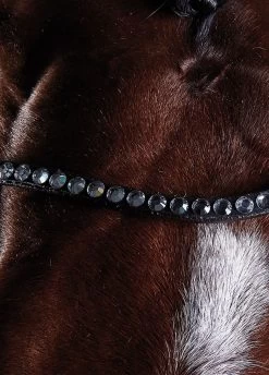 Collegiate Comfitec Crystal Training Bridle - Brown 7 Collegiate Comfitec Crystal Training Bridle - Brown -Equestrian Riding Equipment Store collcrystal