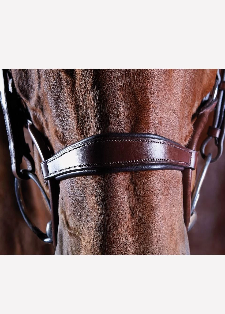 Collegiate Comfitec Crystal Training Bridle - Brown 4 Collegiate Comfitec Crystal Training Bridle - Brown - Image 2