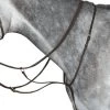 Collegiate Running Martingale IV - Brown -Equestrian Riding Equipment Store collegiate running martingale brown 1rdy