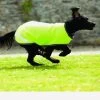 Rambo® Reflective Dog Rug - Hi Viz Yellow -Equestrian Riding Equipment Store dog rug rambo viz