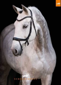 Schockemohle Equitus Alpha Bridle - Black