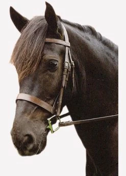 Sabre Eton Snaffle Bridle - Havana