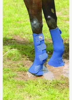 Equi-Chaps Hardy Chaps - Navy