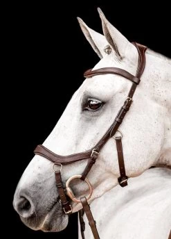 Horseware Micklem 2 Competition Bridle - Dark Havana