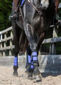 LeMieux Grafter Brushing Boots - Bluebell -Equestrian Riding Equipment Store lemieux grafter boot bluebell 7rdy