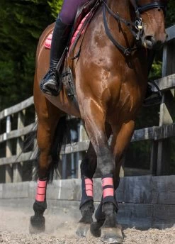 LeMieux Grafter Brushing Boots - Papaya -Equestrian Riding Equipment Store lemieux grafter boot papaya 5rdy