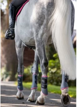 LeMieux Carbon Mesh Wrap Boots - Grey/Watermelon -Equestrian Riding Equipment Store lemiex carbon mesh boot watermelon 4rdy
