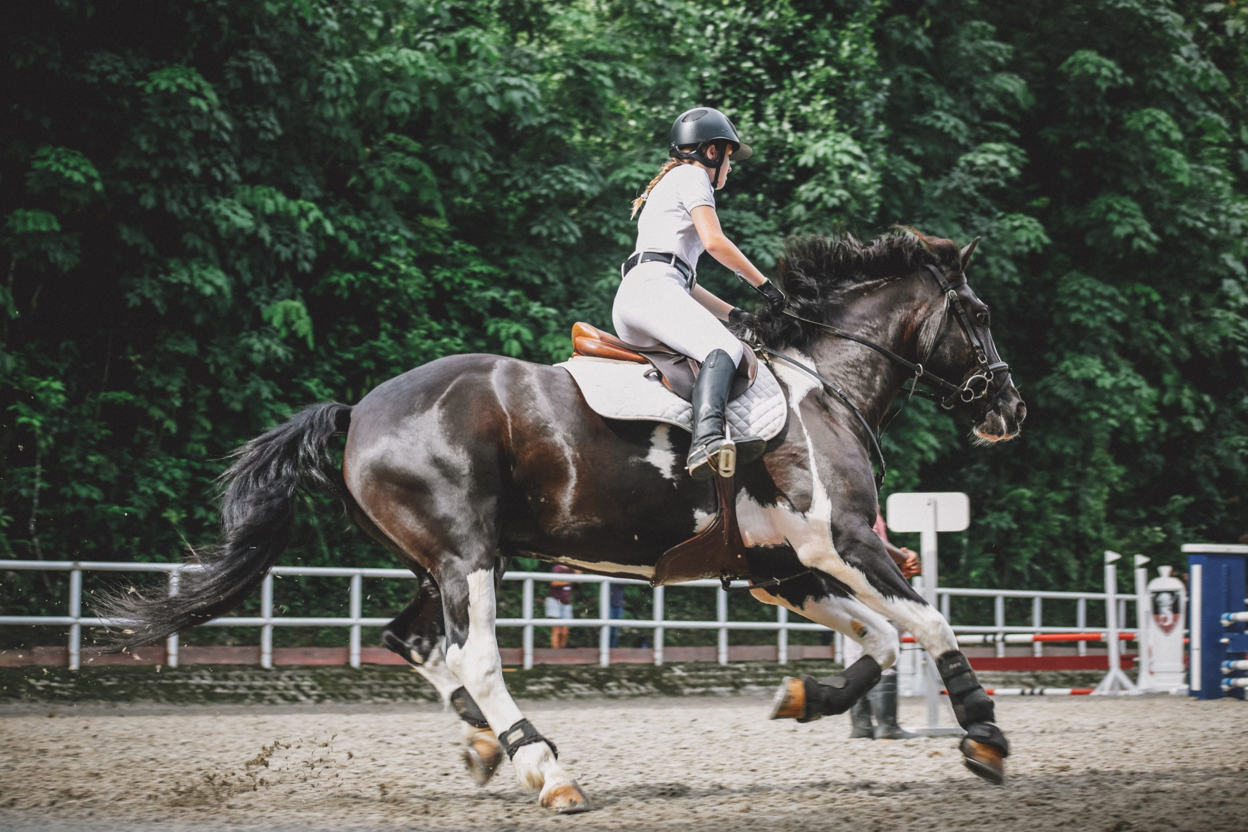Equestrian Riding Equipment Store -Equestrian Riding Equipment Store lily banse vLrlxsNKE3Y unsplash scaled