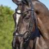 LeMieux Arika Drop Bridle - Black/Silver -Equestrian Riding Equipment Store lm drop bridle black 1rdy