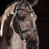LeMieux Arika Flash Bridle - Black/Silver 1 LeMieux Arika Flash Bridle - Black/Silver -Equestrian Riding Equipment Store lm flash bridle black 1rdy