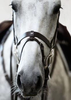 PS Of Sweden London Bridle - Black -Equestrian Riding Equipment Store londonbrn5rdy