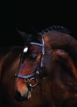 Rambo Micklem Multi Bridle - Brown