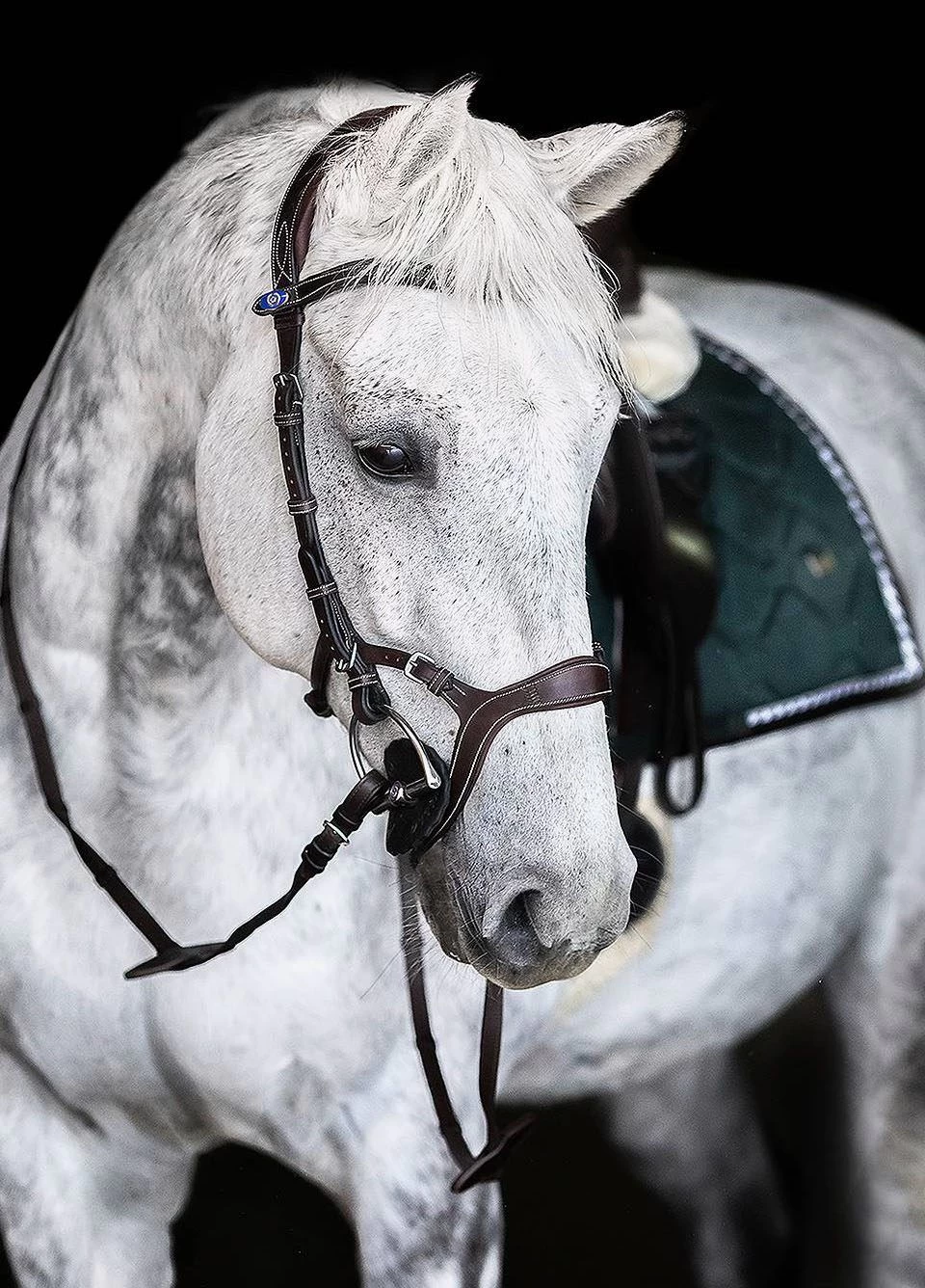 Ps Of Sweden Nirak Bridle - Brown 3 Ps Of Sweden Nirak Bridle - Brown