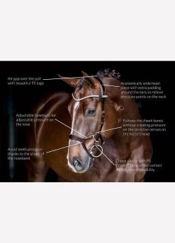 Ps Of Sweden Nirak Bridle - Brown 6 Ps Of Sweden Nirak Bridle - Brown -Equestrian Riding Equipment Store nirak12