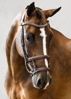 PS Of Sweden Paris Bridle - Brown