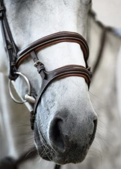 PS Of Sweden Paris Bridle - Brown -Equestrian Riding Equipment Store parisbrn5rdy