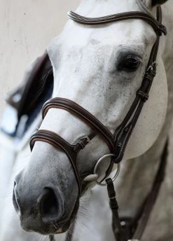 PS Of Sweden Paris Bridle - Brown -Equestrian Riding Equipment Store parisbrn7rdy