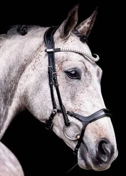 Ps Of Sweden Pioneer Bridle - Black 5 Ps Of Sweden Pioneer Bridle - Black -Equestrian Riding Equipment Store pioneer11 1