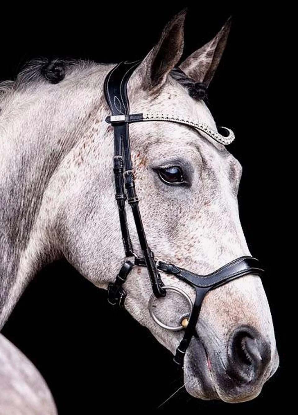 Ps Of Sweden Pioneer Bridle - Black 4 Ps Of Sweden Pioneer Bridle - Black - Image 2