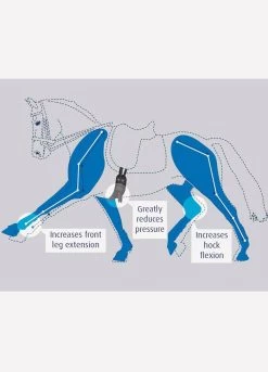 Prolite Short Dressage Girth - Black -Equestrian Riding Equipment Store prolitehorsediagramrdy