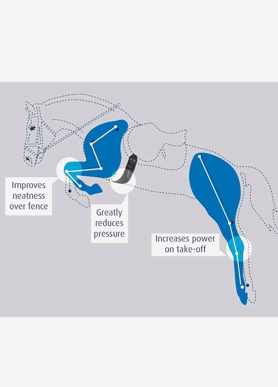 Prolite Long Girth - Narrow Gauge - Black 4 Prolite Long Girth - Narrow Gauge - Black - Image 2