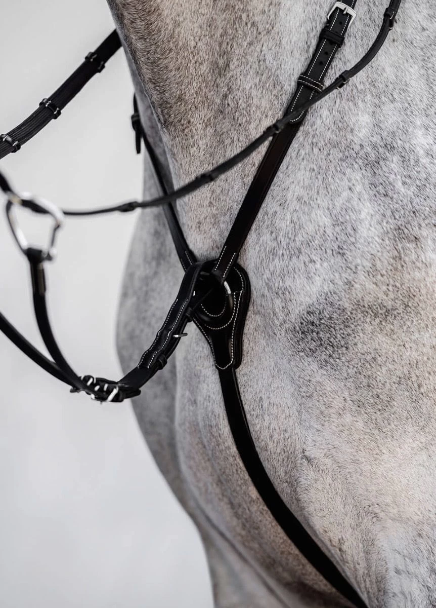 PS Of Sweden Seoul Martingale - Black 4 PS Of Sweden Seoul Martingale - Black - Image 2