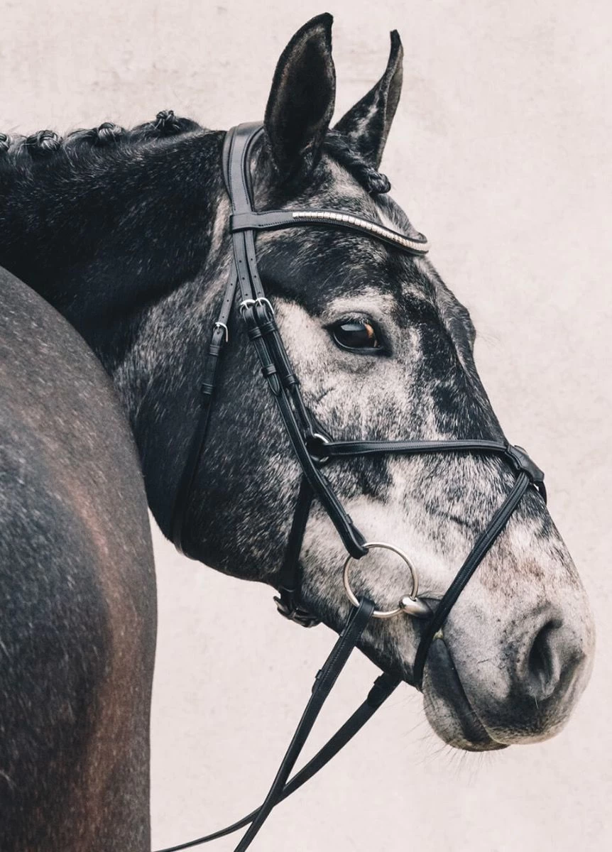 Schockemohle Rio Select Anatomical Bridle - Black 4 Schockemohle Rio Select Anatomical Bridle - Black - Image 2