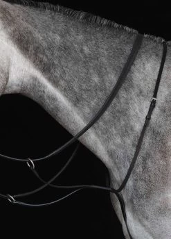 Collegiate New Running Martingale - Black