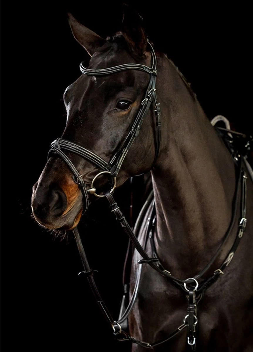 Schockemohle Tokyo F Select Bridle - Black/Cream 4 Schockemohle Tokyo F Select Bridle - Black/Cream - Image 2
