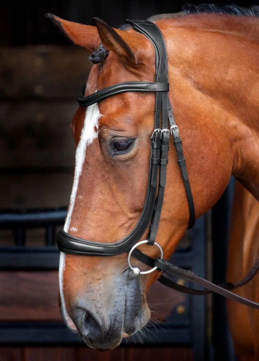 Shires RAPIDA Ergonomic Cavesson Bridle W/reins - Black 3 Shires RAPIDA Ergonomic Cavesson Bridle W/reins - Black