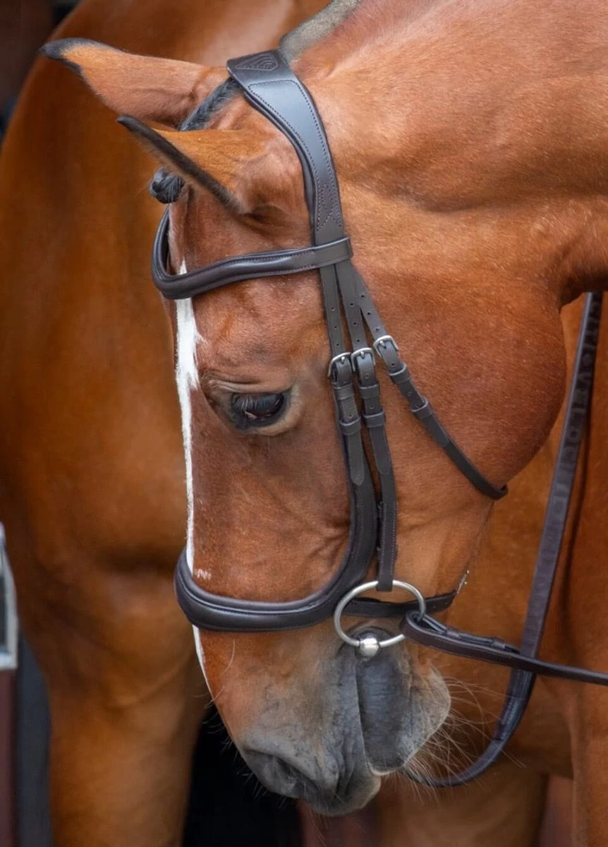 Shires RAPIDA Ergonomic Cavesson Bridle W/reins - Havana 3 Shires RAPIDA Ergonomic Cavesson Bridle W/reins - Havana