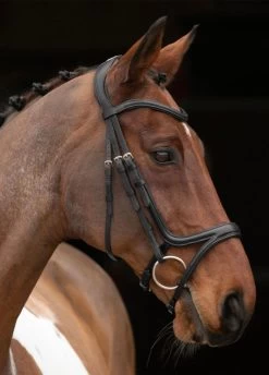 Shires Velociti Rapida Comfort Flash Bridle - Black