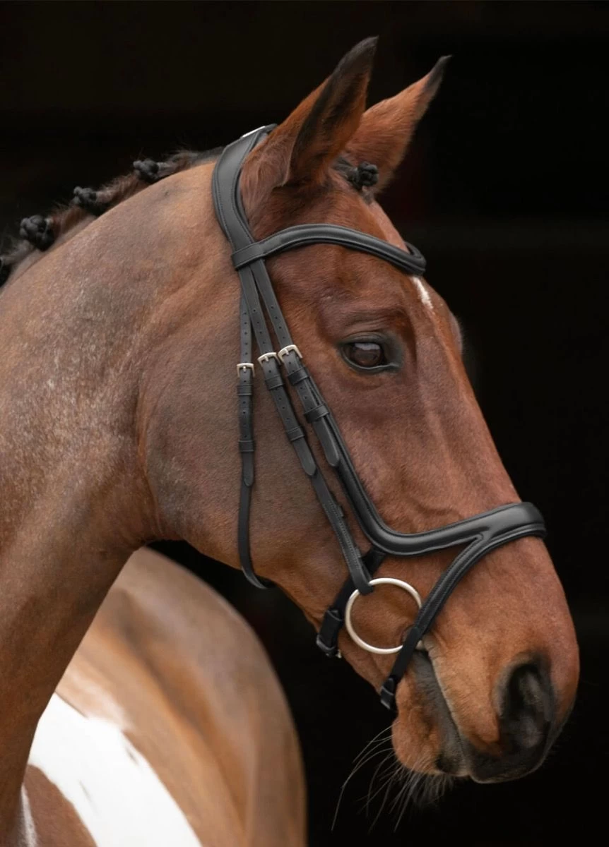 Shires Velociti Rapida Comfort Flash Bridle - Black 3 Shires Velociti Rapida Comfort Flash Bridle - Black