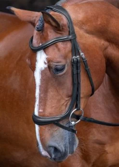 Shires Rapida Ergonomic Curved Flash Bridle - Black