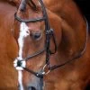 Shires Velociti RAPIDA Grackle Bridle - Black 1 Shires Velociti RAPIDA Grackle Bridle - Black -Equestrian Riding Equipment Store shires grackle bridle black 1rdy