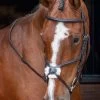 Shires Velociti RAPIDA Grackle Bridle - Havana -Equestrian Riding Equipment Store shires grackle havana 1rdy