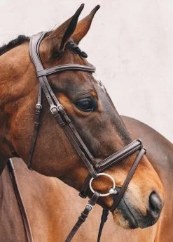 Schockemohle Tokyo Select Anatomical Bridle - Brown 9 Schockemohle Tokyo Select Anatomical Bridle - Brown -Equestrian Riding Equipment Store tokyoselectbrn2rdy
