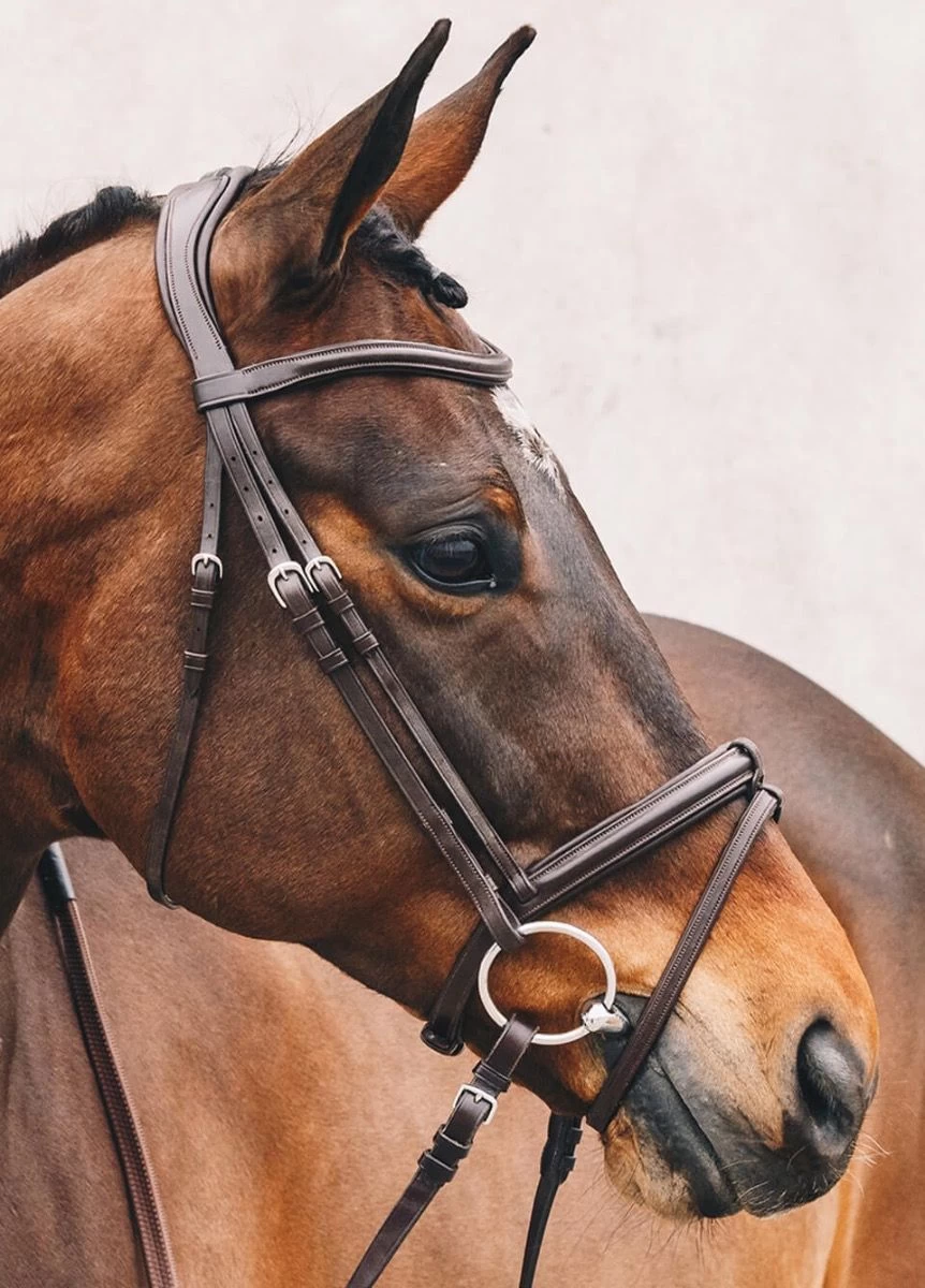 Schockemohle Tokyo Select Anatomical Bridle - Brown 5 Schockemohle Tokyo Select Anatomical Bridle - Brown - Image 3