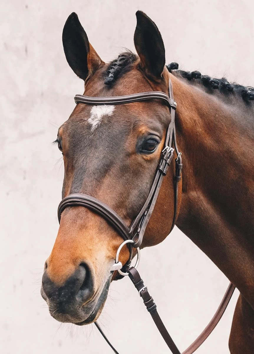 Schockemohle Tokyo Select Anatomical Bridle - Brown 4 Schockemohle Tokyo Select Anatomical Bridle - Brown - Image 2