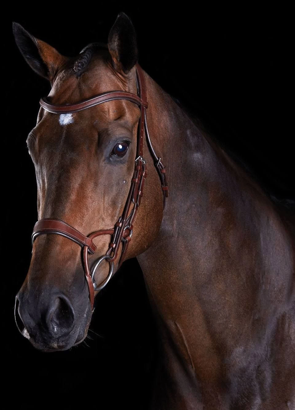 Collegiate Comfitec Training Bridle - Brown 3 Collegiate Comfitec Training Bridle - Brown