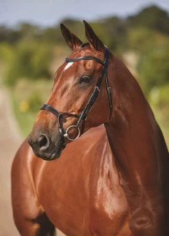 Collegiate Comfitec Training Bridle - Black -Equestrian Riding Equipment Store trainingbridleblk2rdy